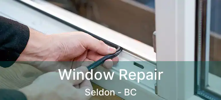  Window Repair Seldon - BC