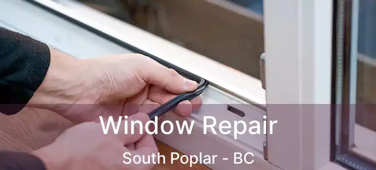  Window Repair South Poplar - BC