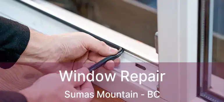  Window Repair Sumas Mountain - BC