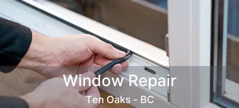  Window Repair Ten Oaks - BC