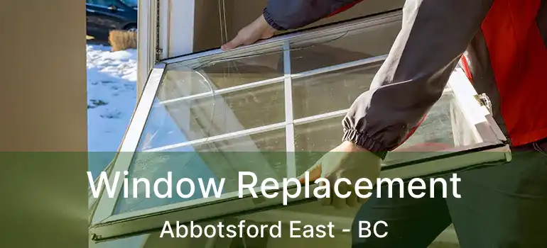  Window Replacement Abbotsford East - BC