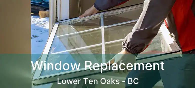  Window Replacement Lower Ten Oaks - BC