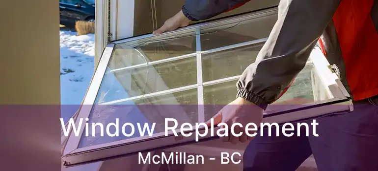  Window Replacement McMillan - BC