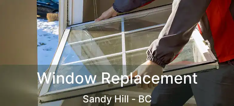  Window Replacement Sandy Hill - BC