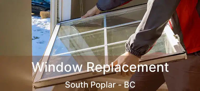  Window Replacement South Poplar - BC