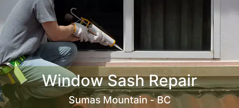  Window Sash Repair Sumas Mountain - BC