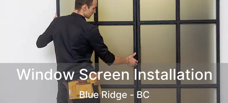  Window Screen Installation Blue Ridge - BC