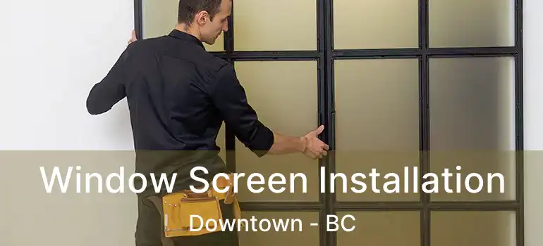  Window Screen Installation Downtown - BC