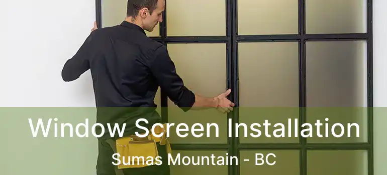  Window Screen Installation Sumas Mountain - BC