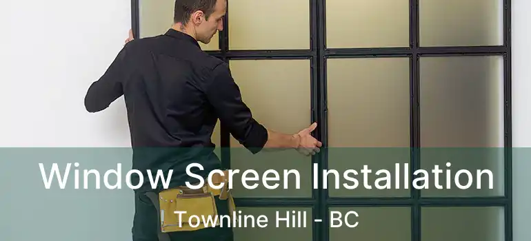  Window Screen Installation Townline Hill - BC