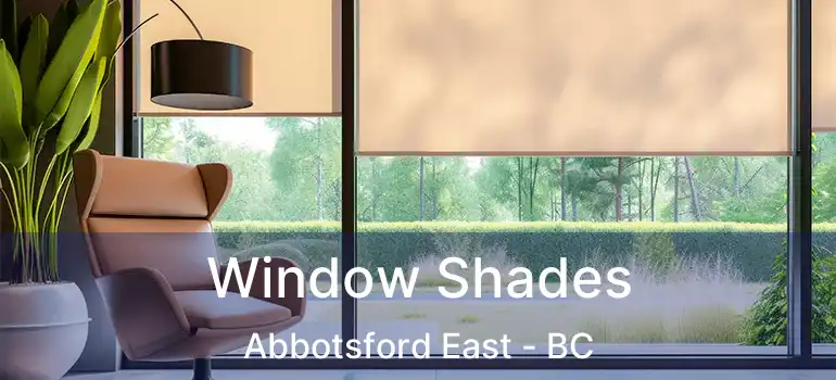  Window Shades Abbotsford East - BC