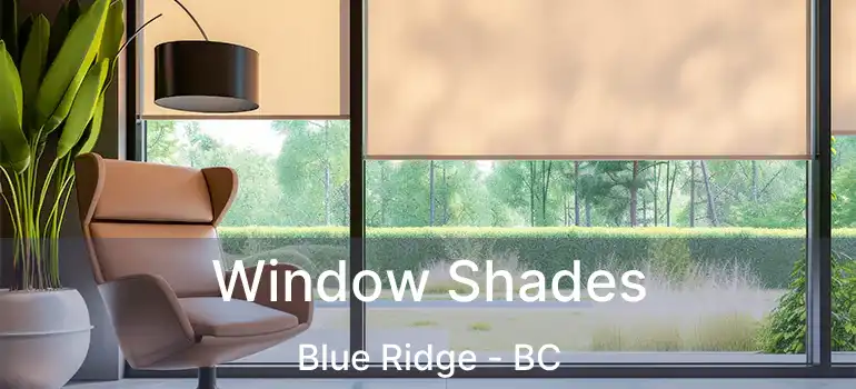 Window Shades Blue Ridge - BC