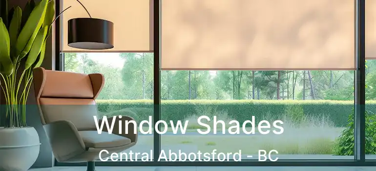  Window Shades Central Abbotsford - BC