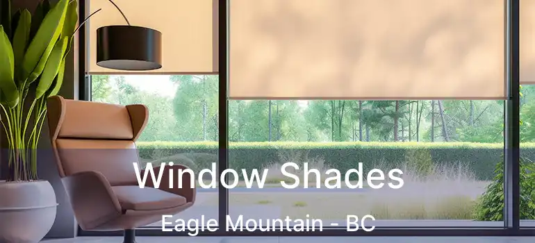  Window Shades Eagle Mountain - BC