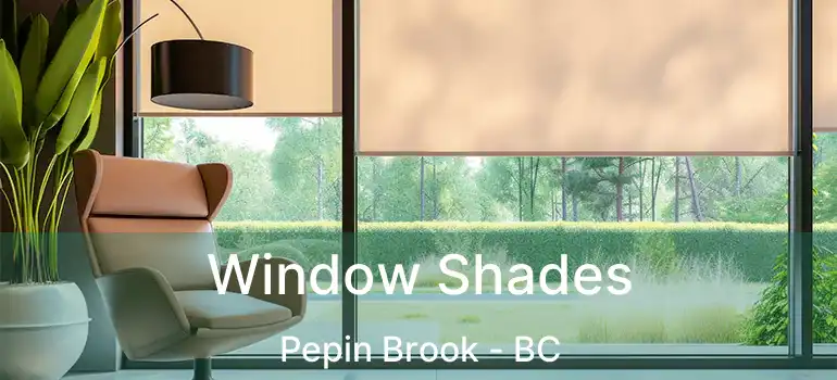 Window Shades Pepin Brook - BC
