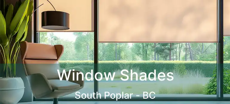  Window Shades South Poplar - BC