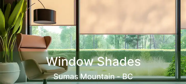  Window Shades Sumas Mountain - BC