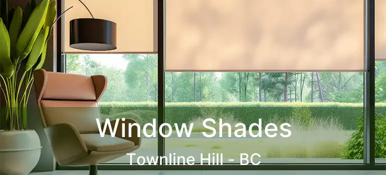  Window Shades Townline Hill - BC
