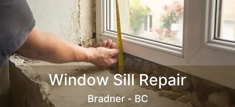  Window Sill Repair Bradner - BC
