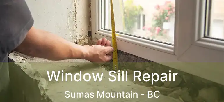  Window Sill Repair Sumas Mountain - BC