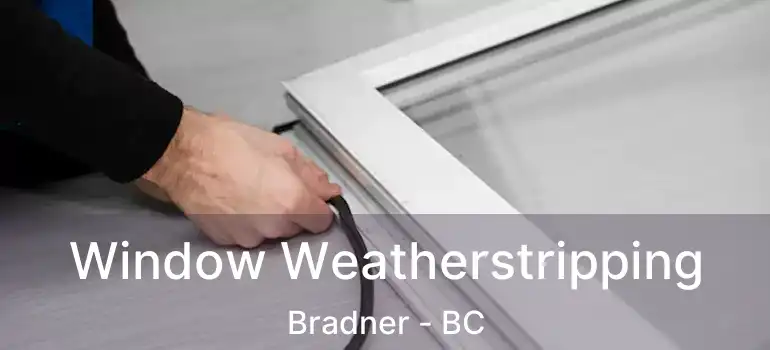  Window Weatherstripping Bradner - BC