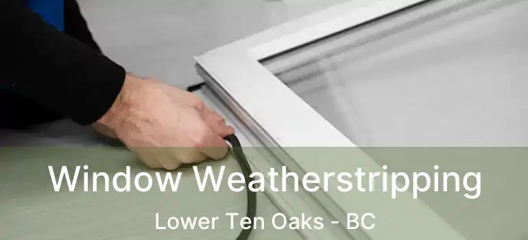  Window Weatherstripping Lower Ten Oaks - BC