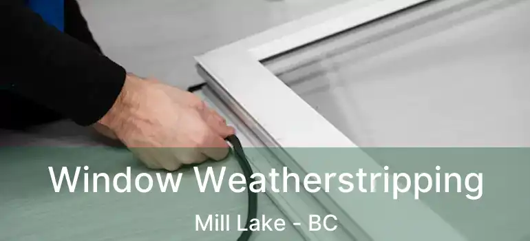  Window Weatherstripping Mill Lake - BC