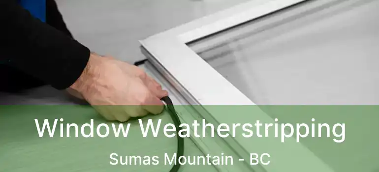  Window Weatherstripping Sumas Mountain - BC