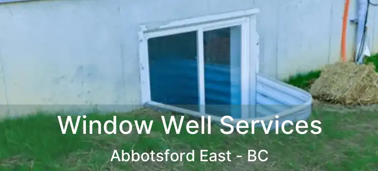  Window Well Services Abbotsford East - BC