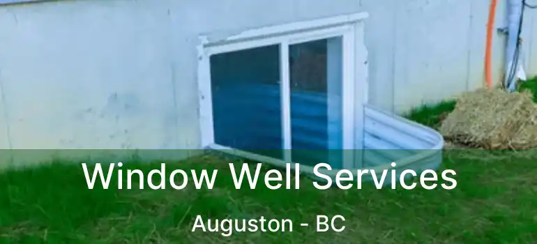  Window Well Services Auguston - BC