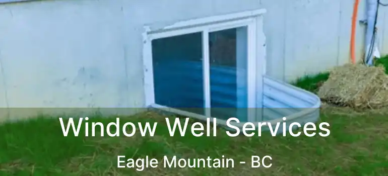  Window Well Services Eagle Mountain - BC