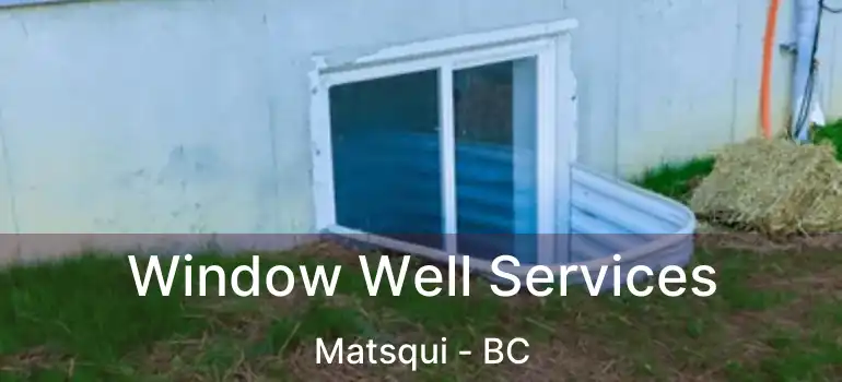  Window Well Services Matsqui - BC