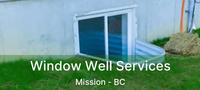  Window Well Services Mission - BC