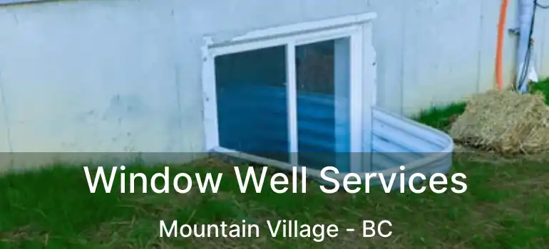  Window Well Services Mountain Village - BC