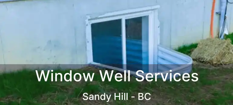  Window Well Services Sandy Hill - BC