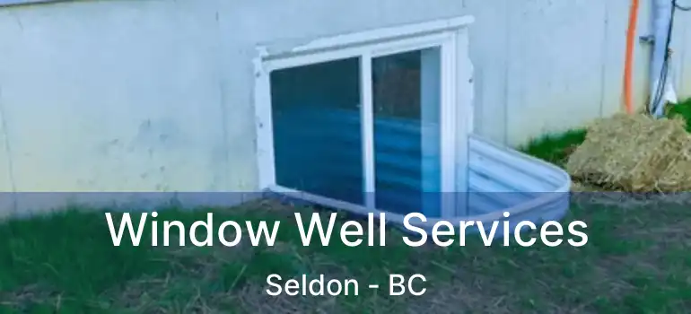  Window Well Services Seldon - BC