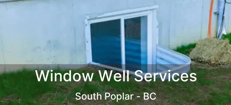  Window Well Services South Poplar - BC