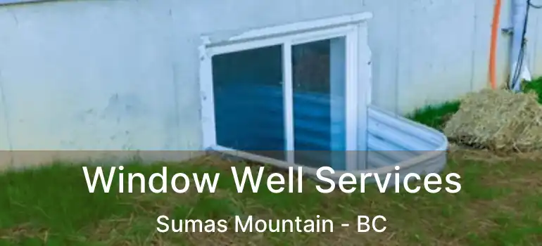  Window Well Services Sumas Mountain - BC