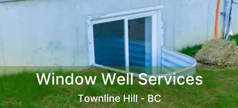  Window Well Services Townline Hill - BC