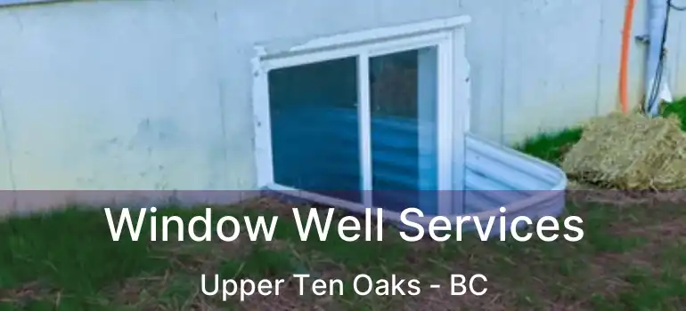  Window Well Services Upper Ten Oaks - BC